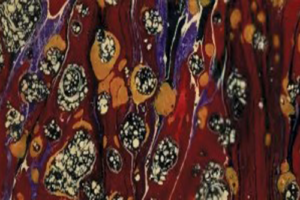 Вдъхновение за рисуване на плат